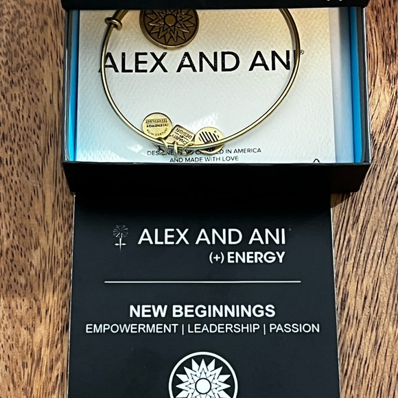 Alex and Ani Adjustable (+) Energy New Beginnings Bracelet | EUC - Picture 3 of 6